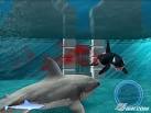 IGN: JAWS Unleashed Pictures (PC) 1143627
