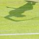 ヒンギス 全英ダブルスで出場 - tennis365.net