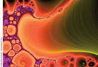 <b>Anomalies</b> Des <b>Plaquettes</b> www.lookfordiagnosis.com www.lookfordiagnosis.com