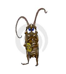فوائد الزهيوي  Cartoon-cockroach-thumb7553005