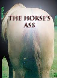 horse-ass1.jpg