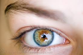 سلسلة هل تعلم 86% من سكان العالم لا يعلمون نصف هذه المعلومات 2449019740-beautiful-eyes