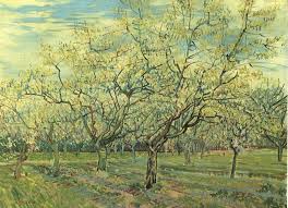 Orchard with Blossoming