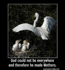 Mothers Day Quotes Graohics