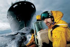 Scene from Whale Wars.