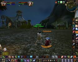 a World of Warcraft Server