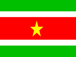 http://t0.gstatic.com/images?q=tbn:EyZQ-Ow4bmPAhM:http://paraibaparadise.com/wp-content/uploads/2009/09/suriname-flag.gif