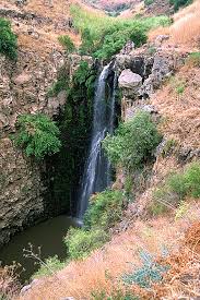 بالقادى العظماء ...... تكبر الاوطان ...صور 2... Golan-waterfall