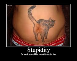 Stupidity Picture