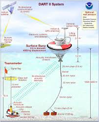 Tsunami Warning System