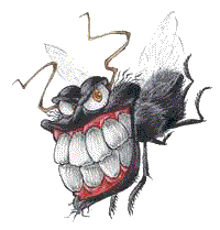 mouche.gif