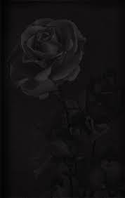 black rose gothic