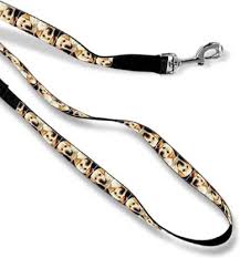 free dog leash from snapfish- exp 2/19 Graphic