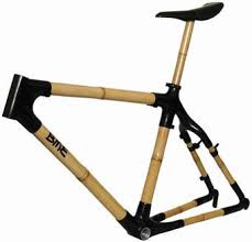 Bamboo Bicycle