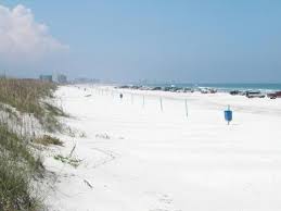 Research Coopers Beach