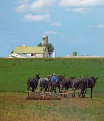 Προβολή εικόνας πλήρους μεγέθους