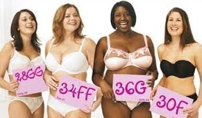 Bra Sizes In Order Bra Sizes In Order