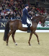 Excellent dressage
