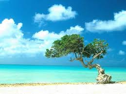 Images of Aruba, icons,