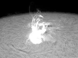 check out this weeks