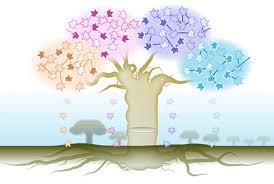 Προβολή εικόνας πλήρους μεγέθους