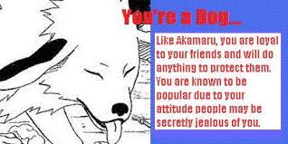 What Naruto Animal Personality