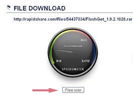 rapidshare timer hacked