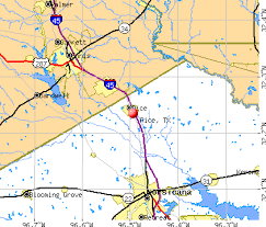 Rice, TX map