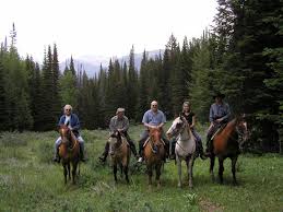 mountain ear newspaper nederland colorado
