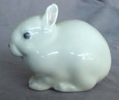 rabbit white