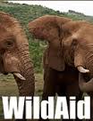 wild wildaid