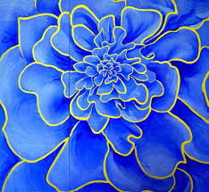 blue flower images