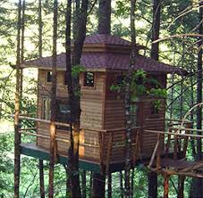 Vertical Horizons Treehouse