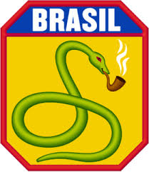 http://t0.gstatic.com/images?q=tbn:WbncurYJ8oLAiM:http://segundaguerra.org/wp-content/uploads/2009/12/FEB-logo.png