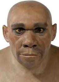 TAŞ DEVRİ MAGARA İNSANI Neandernhm2007cd4