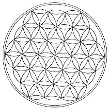 flower of life picture