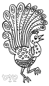 peacock coloring