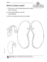 hospital discharge form printable