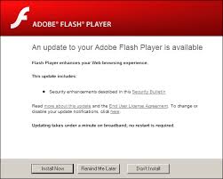 An update to your Adobe Flash