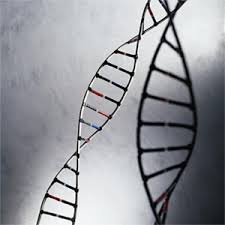 Μύθος ή πραγματικότητα «ανάλυση της γενετικής προδιάθεσης» ;;;