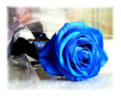 أنواع هجر القرآن الكريم Blue-roses-are-new-to-me-Poster-C12268993