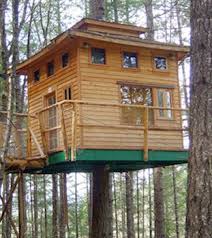 #2- Vertical Horizon Treehouse