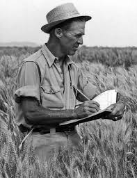 Norman Borlaug Institute