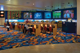The Zone Sports Book