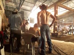 like a true fluffer.