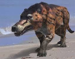 evi_andrewsarchus_large.jpg