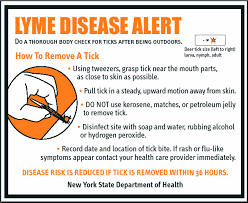 (tick-borne borreliosis, Lyme