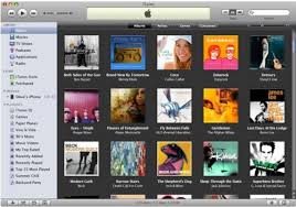 Allows iTunes U and the iTunes