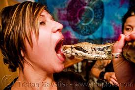 كيف تكوني رائعة و جذابة و دلوعة امام خطيبك بالصور 3787031868-pet-boa-snake-eating-head