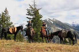 rental cabins grand county colorado